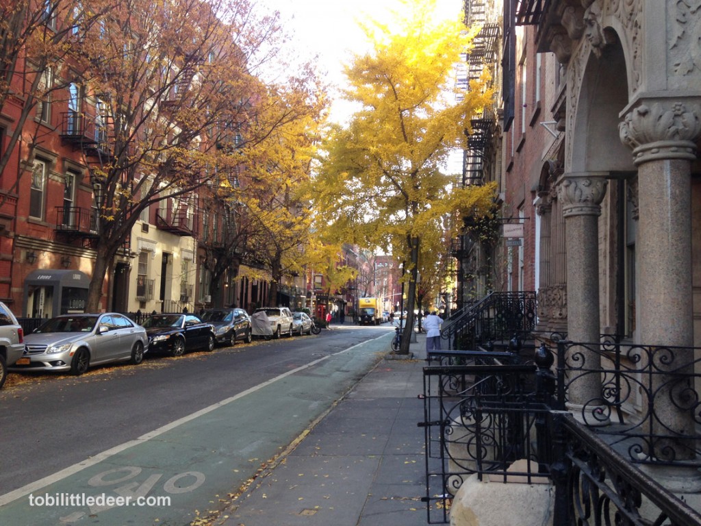 Greenwich Village Street